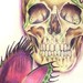 tattoo galleries/ - Skull and Flytraps